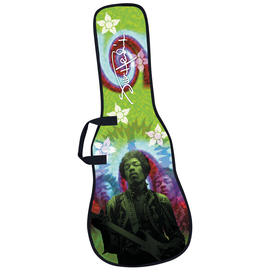 Чехол для гитары LEVY`S EMJH7006